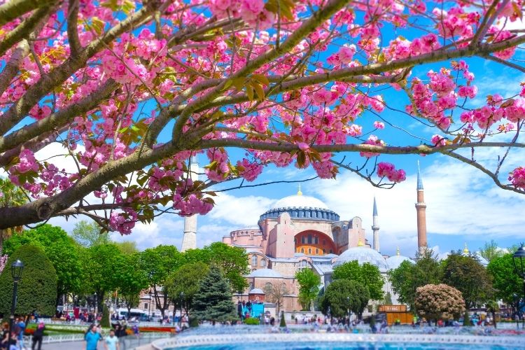 Top Things to Do in Istanbul This Summer